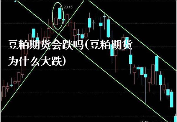 豆粕期货会跌吗(豆粕期货为什么大跌)_https://www.xmqjcw.com_期货行情_第1张