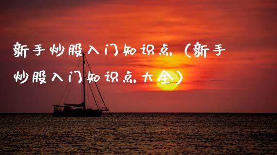新手炒股入门知识点（新手炒股入门知识点大全）_https://www.xmqjcw.com_期货直播室_第1张