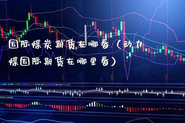 国际煤炭期货在哪看（动力煤国际期货在哪里看）_https://www.xmqjcw.com_期货投资_第1张