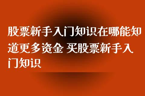 股票新手入门知识在哪能知道更多资金 买股票新手入门知识_https://www.xmqjcw.com_股票投资_第1张
