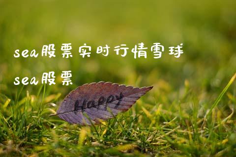 sea股票实时行情雪球 sea股票_https://www.xmqjcw.com_股票投资_第1张