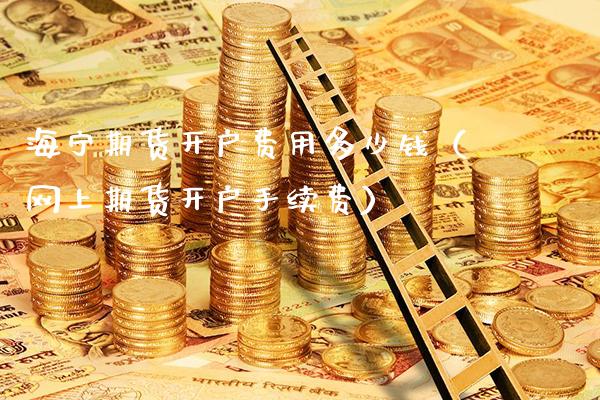 海宁期货开户费用多少钱（网上期货开户手续费）_https://www.xmqjcw.com_期货投资_第1张