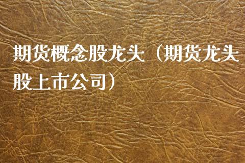 期货概念股龙头（期货龙头股上市公司）_https://www.xmqjcw.com_期货直播室_第1张