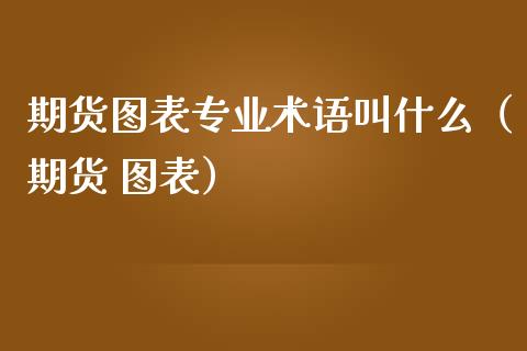 期货图表专业术语叫什么（期货 图表）_https://www.xmqjcw.com_期货直播室_第1张