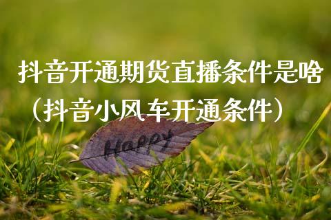 抖音开通期货直播条件是啥（抖音小风车开通条件）_https://www.xmqjcw.com_期货直播室_第1张