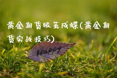 黄金期货破茧成蝶(黄金期货实战技巧)_https://www.xmqjcw.com_期货百科_第1张