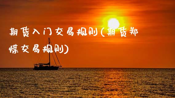 期货入门交易规则(期货郑煤交易规则)_https://www.xmqjcw.com_期货百科_第1张