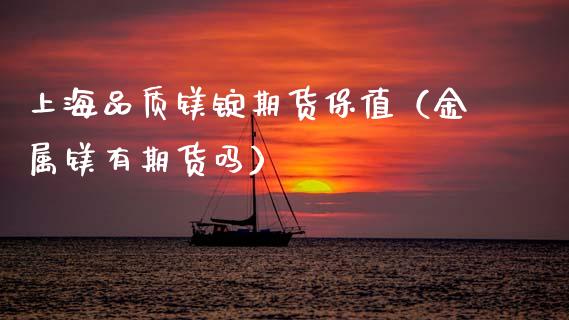 上海品质镁锭期货保值（金属镁有期货吗）_https://www.xmqjcw.com_期货行情_第1张