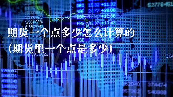 期货一个点多少怎么计算的(期货里一个点是多少)_https://www.xmqjcw.com_期货百科_第1张