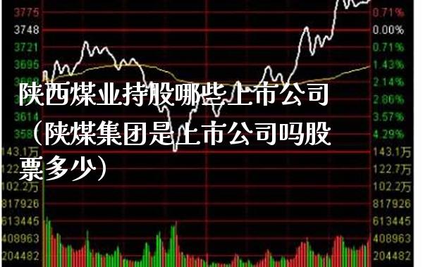 陕西煤业持股哪些上市公司（陕煤集团是上市公司吗股票多少）_https://www.xmqjcw.com_期货直播室_第1张