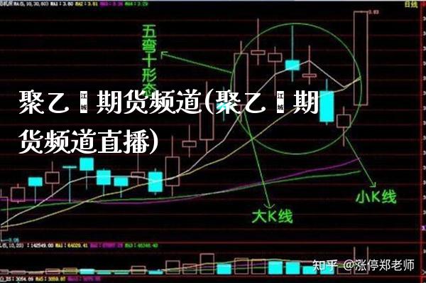 聚乙烯期货频道(聚乙烯期货频道直播)_https://www.xmqjcw.com_期货投资_第1张