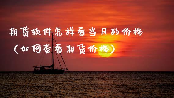 期货软件怎样看当月的价格（如何查看期货价格）_https://www.xmqjcw.com_期货投资_第1张