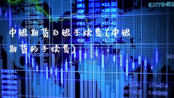 中银期货白银手续费(中银期货的手续费)_https://www.xmqjcw.com_期货开户_第1张