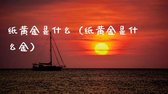 纸黄金是什么（纸黄金是什么金）_https://www.xmqjcw.com_期货投资_第1张