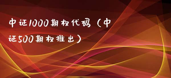 中证1000期权代码（中证500期权推出）_https://www.xmqjcw.com_期货开户_第1张