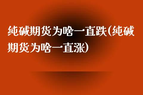 纯碱期货为啥一直跌(纯碱期货为啥一直涨)_https://www.xmqjcw.com_期货百科_第1张