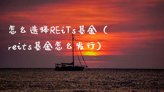 怎么选择REiTs基金（reits基金怎么发行）_https://www.xmqjcw.com_基金理财_第1张