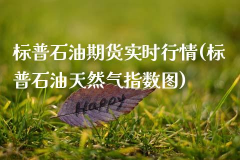 标普石油期货实时行情(标普石油天然气指数图)_https://www.xmqjcw.com_期货百科_第1张