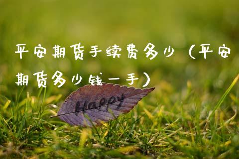 平安期货手续费多少（平安期货多少钱一手）_https://www.xmqjcw.com_期货投资_第1张