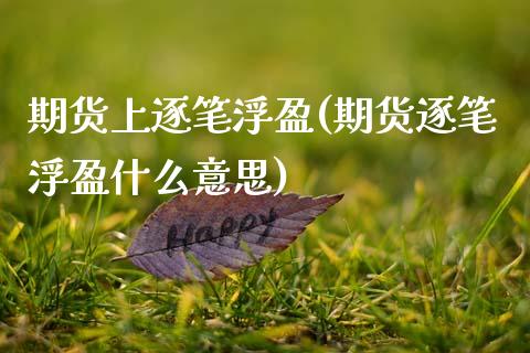 期货上逐笔浮盈(期货逐笔浮盈什么意思)_https://www.xmqjcw.com_期货百科_第1张