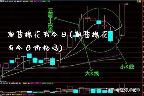 期货棉花有今日(期货棉花有今日价格吗)_https://www.xmqjcw.com_期货直播室_第1张