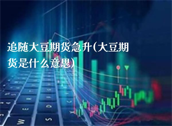 追随大豆期货急升(大豆期货是什么意思)_https://www.xmqjcw.com_期货百科_第1张