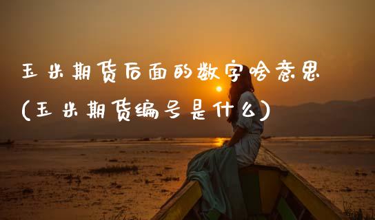 玉米期货后面的数字啥意思(玉米期货编号是什么)_https://www.xmqjcw.com_期货投资_第1张
