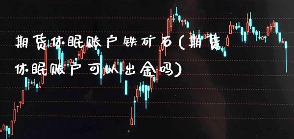期货休眠账户铁矿石(期货休眠账户可以出金吗)_期货百科_第1张_秦聚理财 期货休眠账户铁矿石(期货休眠账户可以出金吗)_https://www.xmqjcw.com_期货百科_第1张