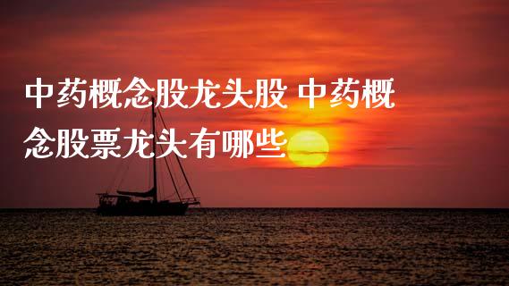 中药概念股龙头股 中药概念股票龙头有哪些_https://www.xmqjcw.com_股票投资_第1张