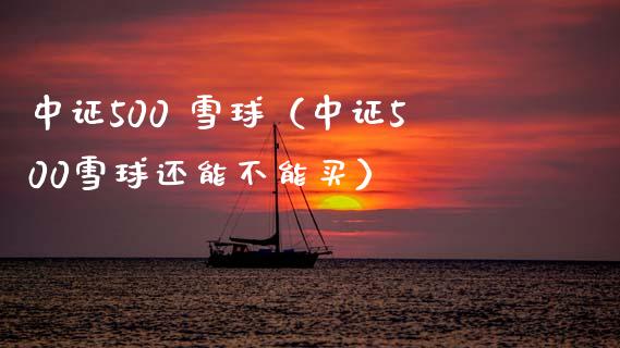 中证500 雪球（中证500雪球还能不能买）_https://www.xmqjcw.com_期货直播室_第1张