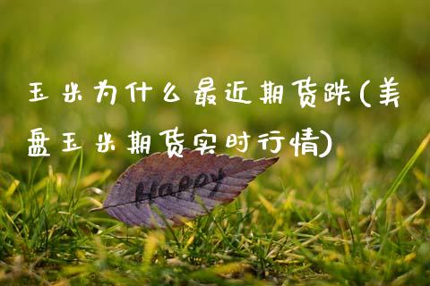 玉米为什么最近期货跌(美盘玉米期货实时行情)_https://www.xmqjcw.com_期货百科_第1张
