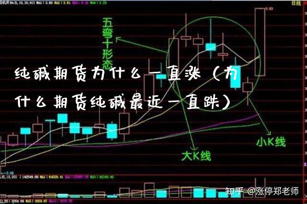 纯碱期货为什么一直涨（为什么期货纯碱最近一直跌）_https://www.xmqjcw.com_期货直播室_第1张