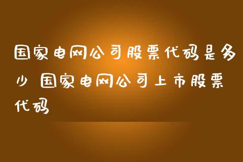 国家电网公司股票代码是多少 国家电网公司上市股票代码_https://www.xmqjcw.com_股票投资_第1张