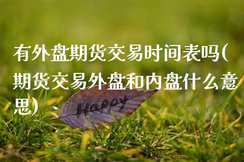 有外盘期货交易时间表吗(期货交易外盘和内盘什么意思)_https://www.xmqjcw.com_期货百科_第1张