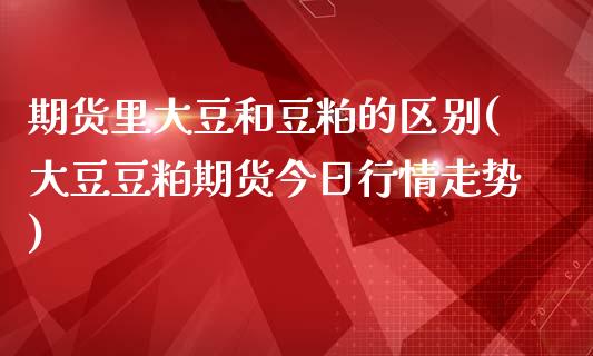 期货里大豆和豆粕的区别(大豆豆粕期货今日行情走势)_https://www.xmqjcw.com_期货投资_第1张