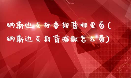 纳斯达克标普期货哪里看(纳斯达克期货指数怎么看)_https://www.xmqjcw.com_期货百科_第1张