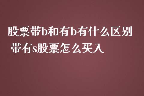 股票带b和有b有什么区别 带有s股票怎么买入_https://www.xmqjcw.com_股票投资_第1张
