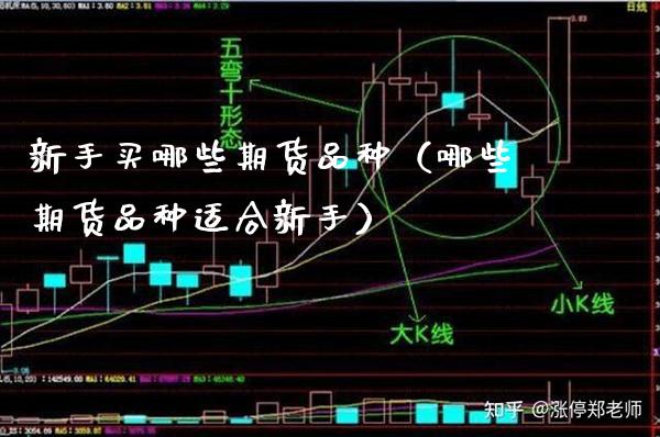 新手买哪些期货品种（哪些期货品种适合新手）_https://www.xmqjcw.com_期货直播室_第1张