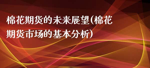 棉花期货的未来展望(棉花期货市场的基本分析)_https://www.xmqjcw.com_期货百科_第1张
