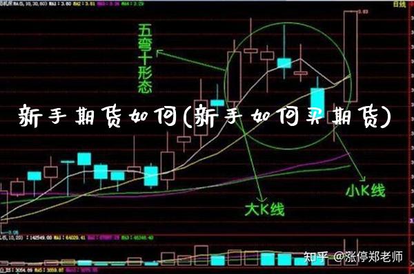 新手期货如何(新手如何买期货)_https://www.xmqjcw.com_期货直播室_第1张