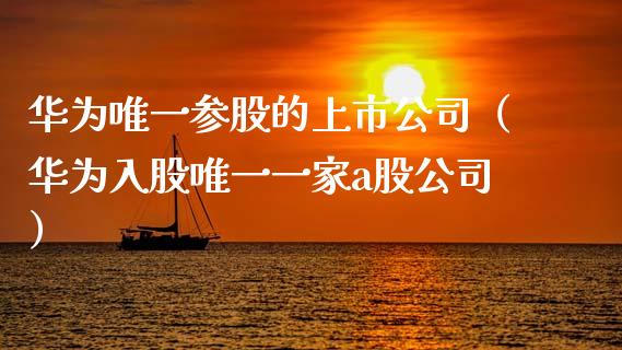 华为唯一参股的上市公司（华为入股唯一一家a股公司）_https://www.xmqjcw.com_期货行情_第1张
