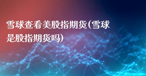 雪球查看美股指期货(雪球是股指期货吗)_https://www.xmqjcw.com_期货百科_第1张