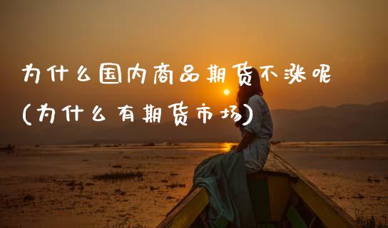 为什么国内商品期货不涨呢(为什么有期货市场)_https://www.xmqjcw.com_基金理财_第1张