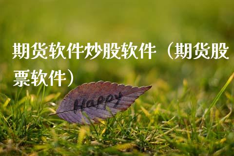 期货软件炒股软件（期货股票软件）_https://www.xmqjcw.com_期货投资_第1张