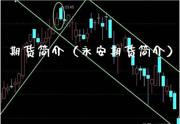 期货简介（永安期货简介）_https://www.xmqjcw.com_期货投资_第1张