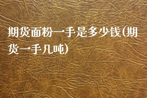 期货面粉一手是多少钱(期货一手几吨)_https://www.xmqjcw.com_期货投资_第1张