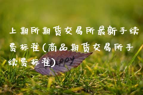 上期所期货交易所最新手续费标准(商品期货交易所手续费标准)_https://www.xmqjcw.com_期货百科_第1张