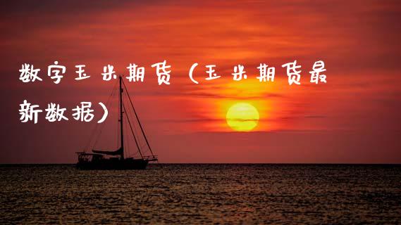 数字玉米期货（玉米期货最新数据）_https://www.xmqjcw.com_期货投资_第1张
