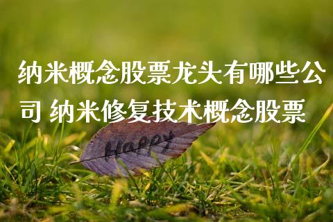 纳米概念股票龙头有哪些公司 纳米修复技术概念股票_https://www.xmqjcw.com_股票投资_第1张