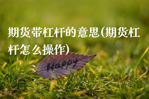 期货带杠杆的意思(期货杠杆怎么操作)_https://www.xmqjcw.com_股票投资_第1张